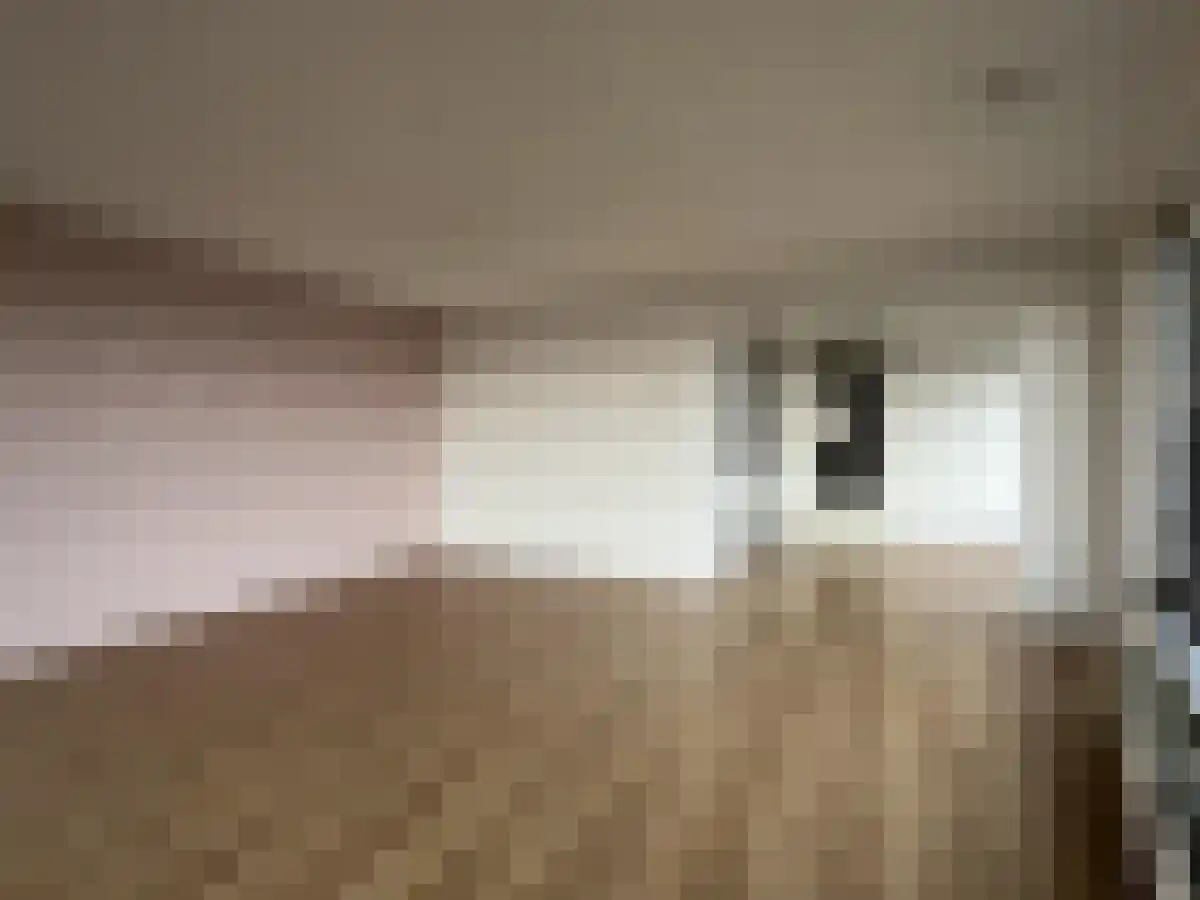 Menno ter Braakstraat 222 Den Haag thumbnail 5