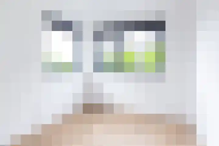 Menno ter Braakstraat 235 Den Haag thumbnail 17