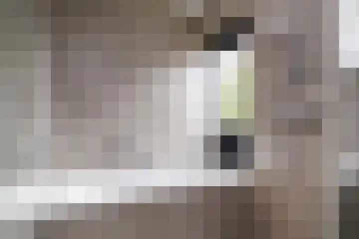 Menno ter Braakstraat 235 Den Haag thumbnail 20