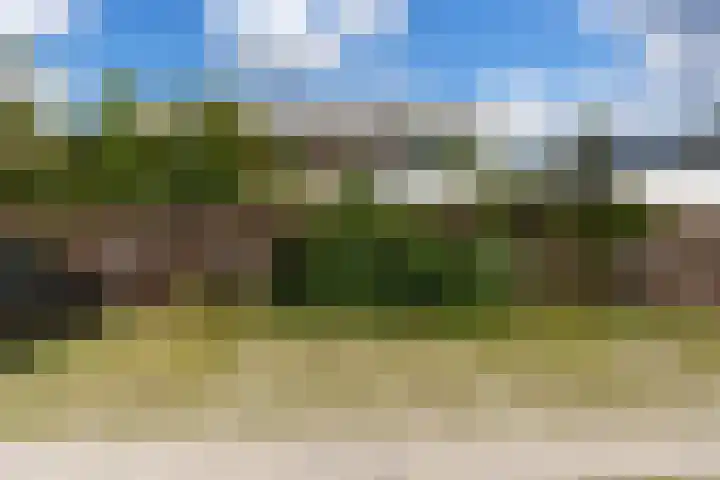 Menno ter Braakstraat 243 Den Haag thumbnail 43