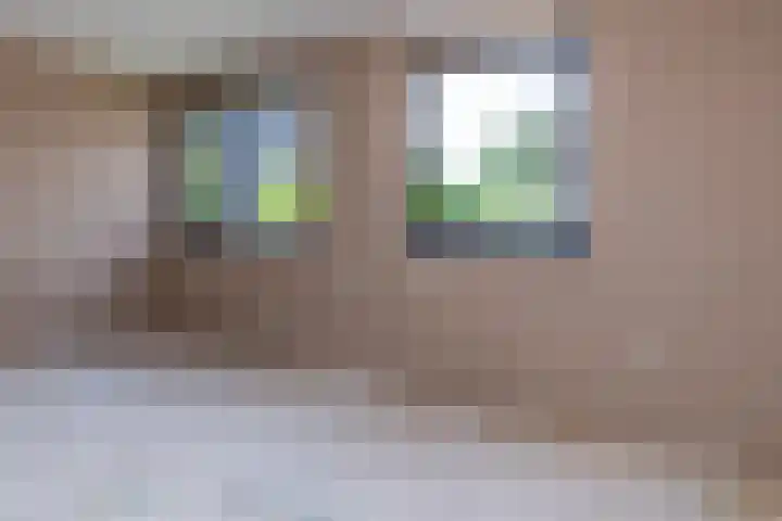 Menno ter Braakstraat 245 Den Haag thumbnail 14
