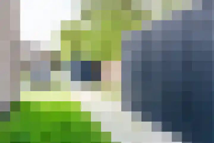 Menno ter Braakstraat 245 Den Haag thumbnail 31