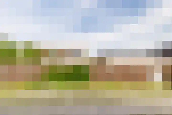 Menno ter Braakstraat 245 Den Haag thumbnail 33