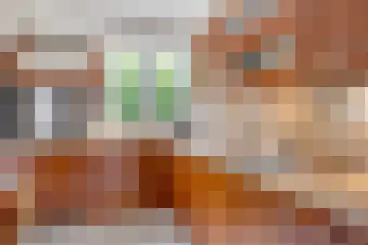 Menno ter Braakstraat 26 Papendrecht thumbnail 10