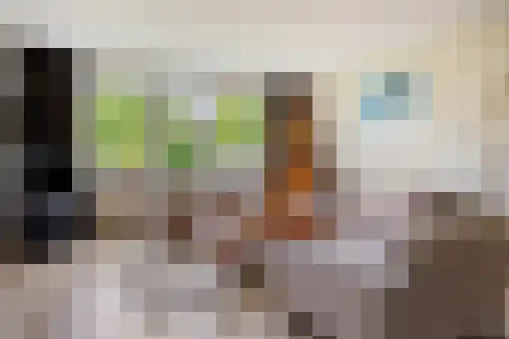 Menno ter Braakstraat 26 Papendrecht thumbnail 5