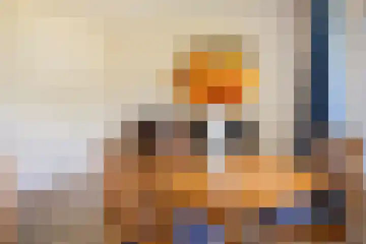 Menno ter Braakstraat 26 Papendrecht thumbnail 6