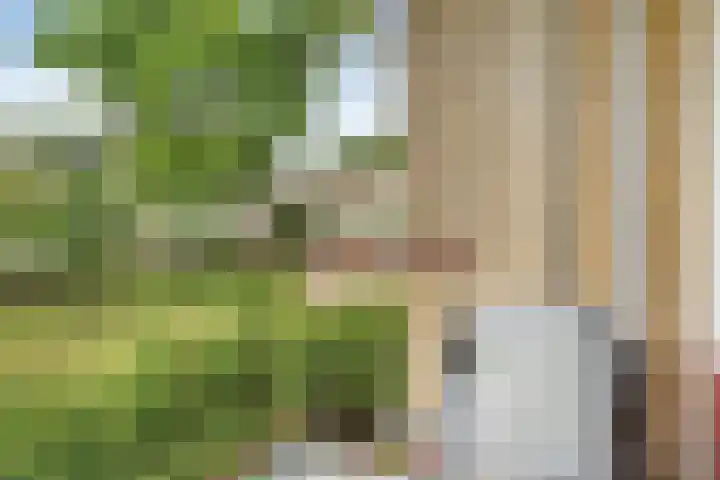 Menno ter Braakstraat 26 Papendrecht thumbnail 7