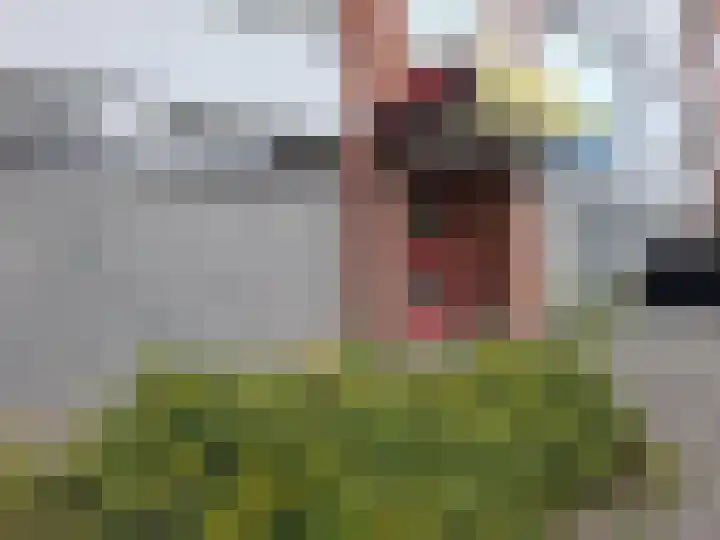 Menno ter Braakstraat 28 Rotterdam thumbnail 17