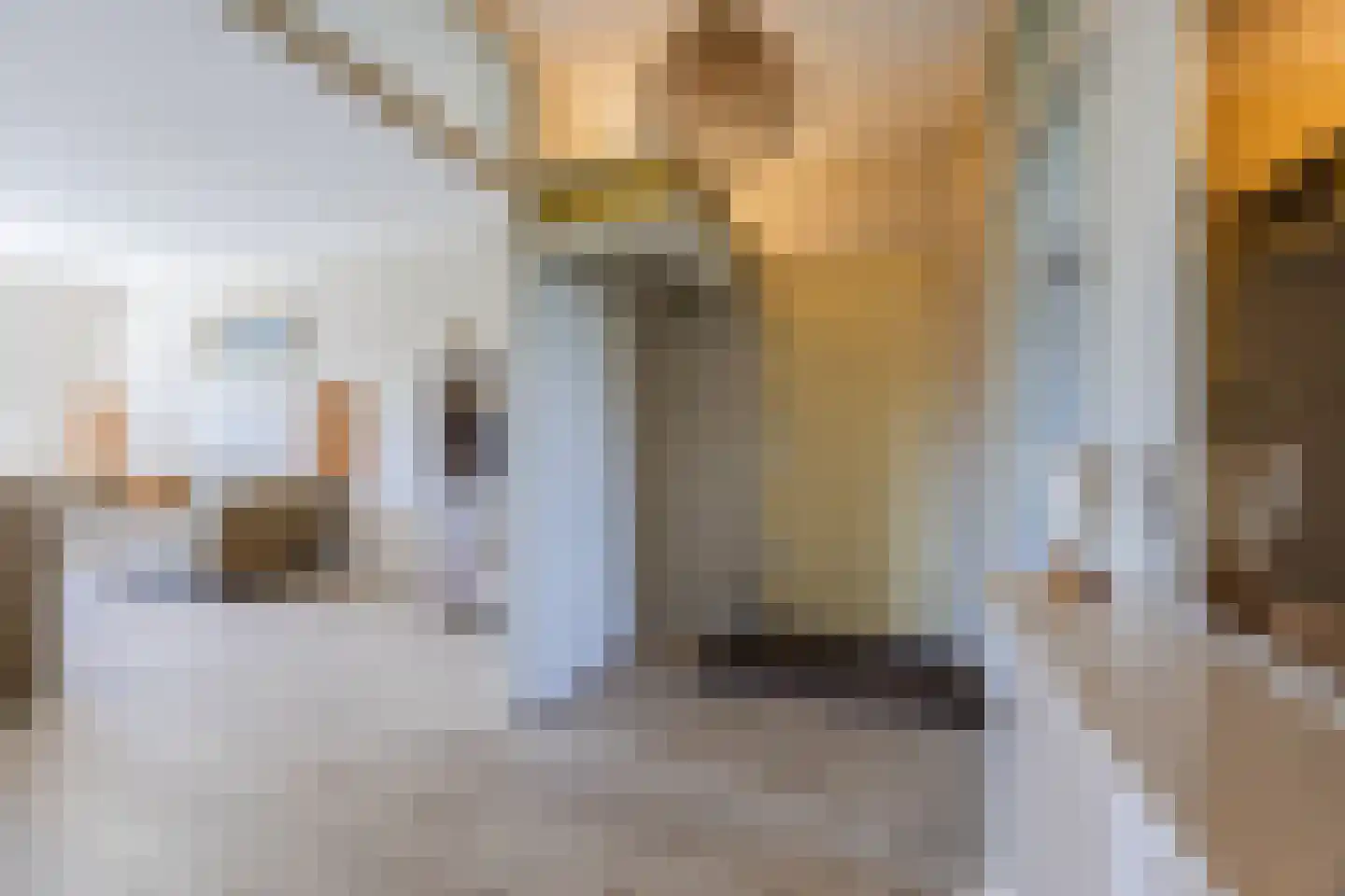 Menno ter Braakstraat 38 Papendrecht thumbnail 10