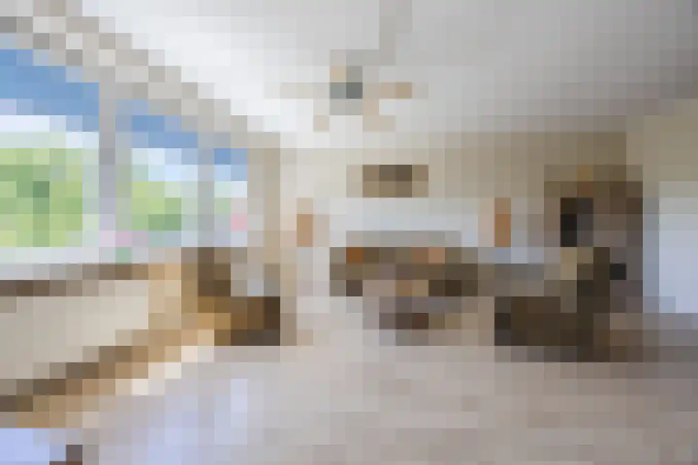Menno ter Braakstraat 38 Papendrecht thumbnail 14