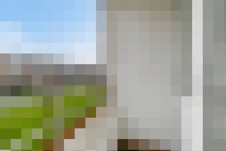 Menno ter Braakstraat 39 Rotterdam thumbnail 18