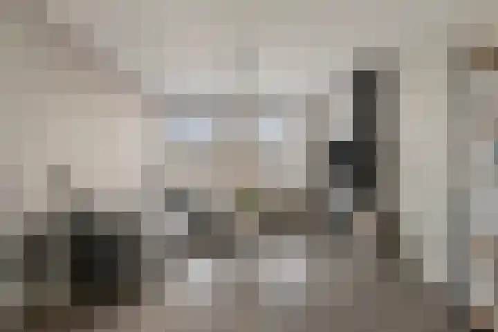 Menno ter Braakstraat 39 Rotterdam thumbnail 4