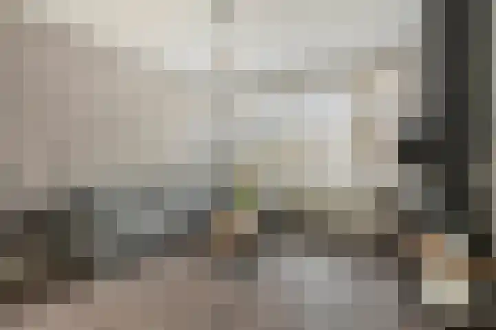 Menno ter Braakstraat 39 Rotterdam thumbnail 5
