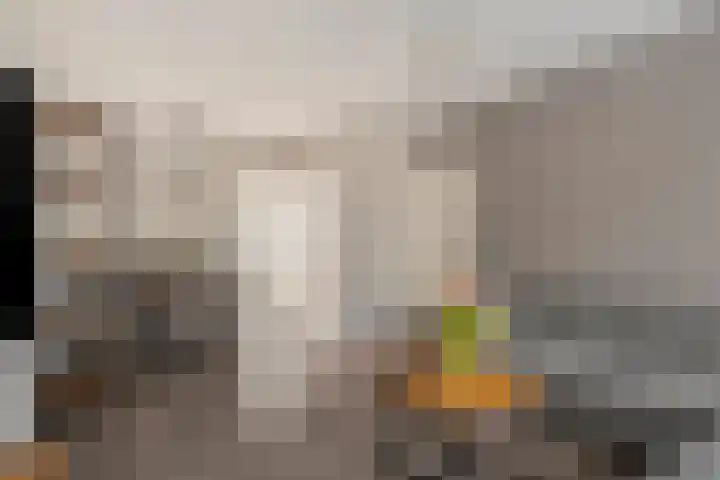 Menno ter Braakstraat 39 Rotterdam thumbnail 6