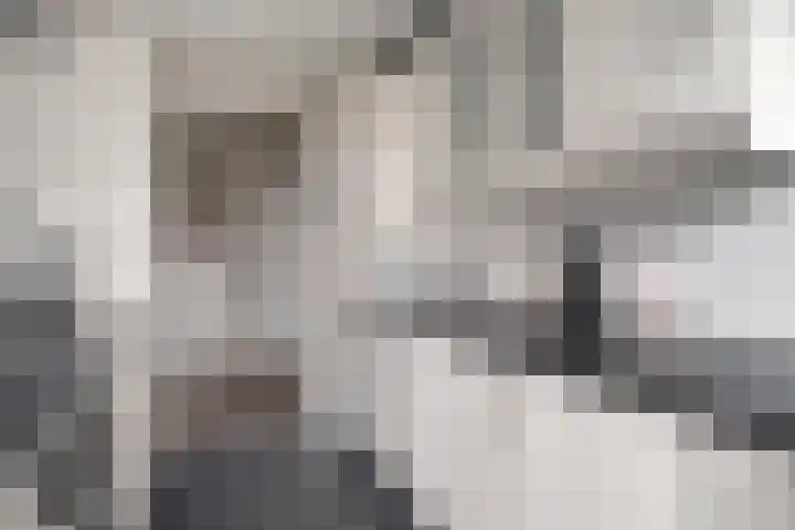 Menno ter Braakstraat 39 Rotterdam thumbnail 9