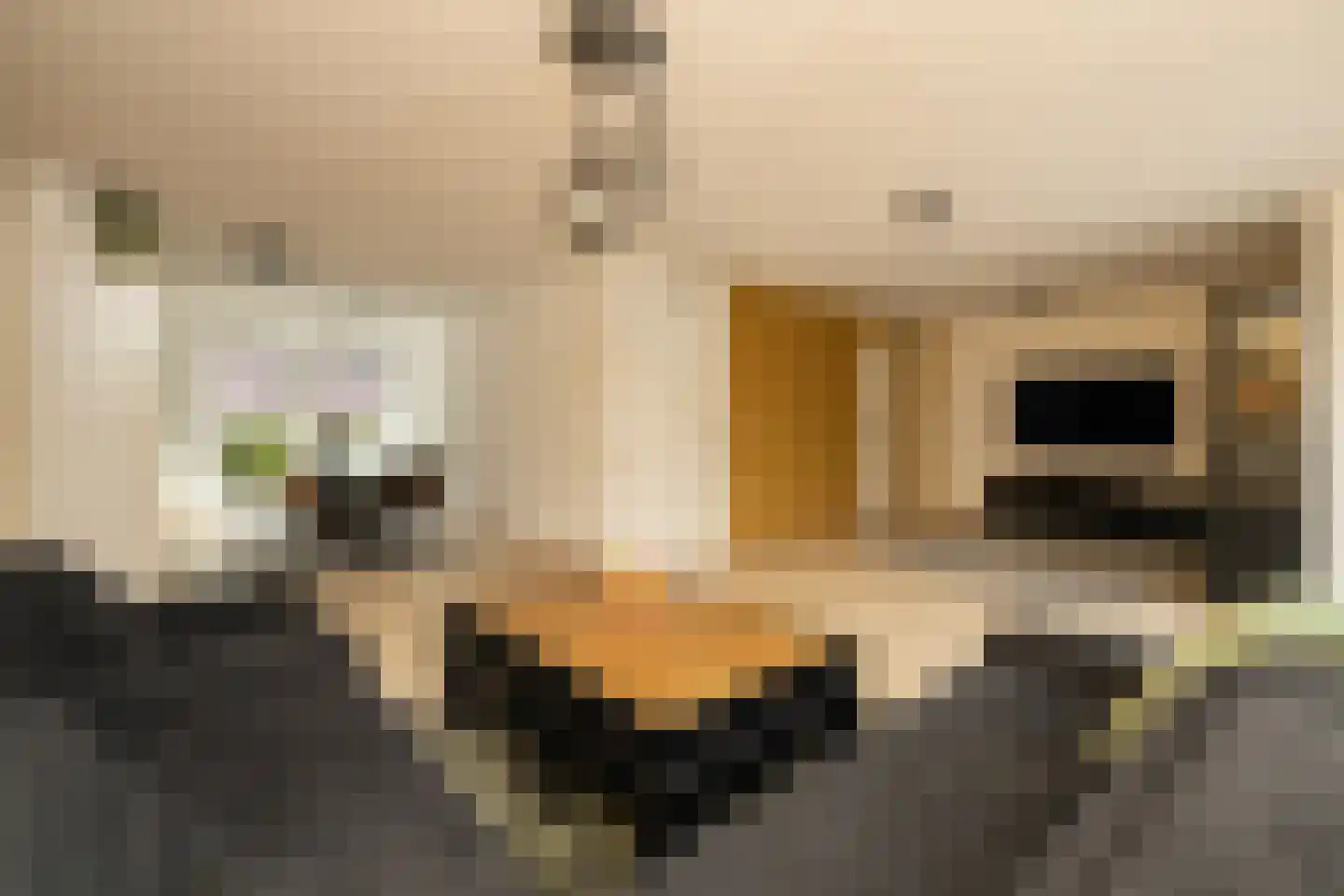 Menno ter Braakstraat 4 Den Haag thumbnail 10