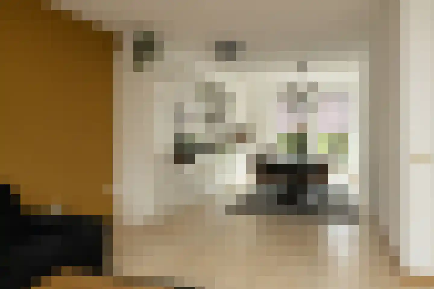 Menno ter Braakstraat 4 Den Haag thumbnail 14