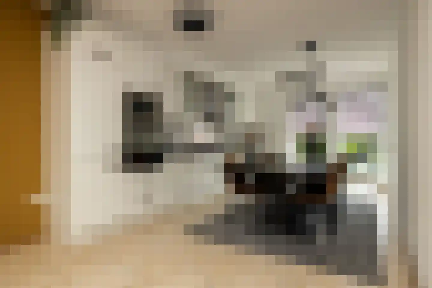 Menno ter Braakstraat 4 Den Haag thumbnail 15