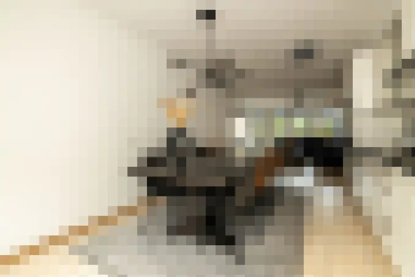 Menno ter Braakstraat 4 Den Haag thumbnail 17