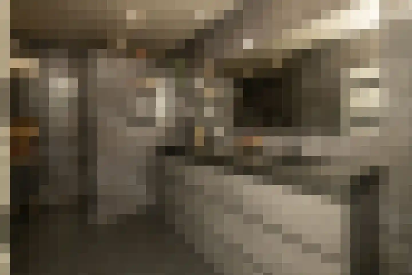 Menno ter Braakstraat 4 Den Haag thumbnail 25