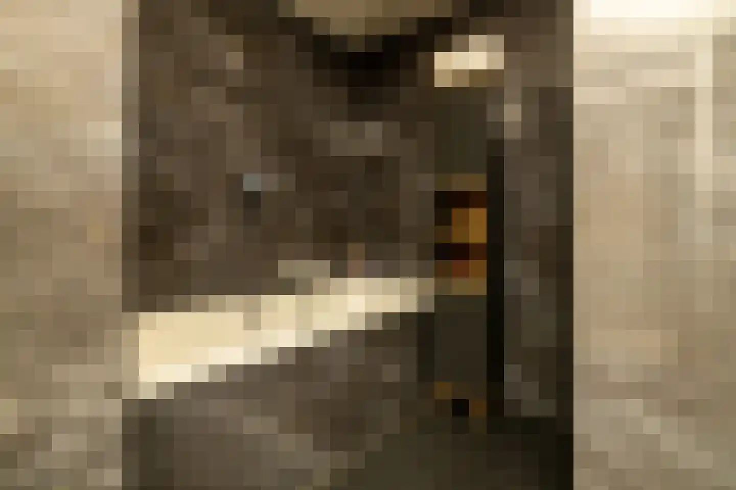 Menno ter Braakstraat 4 Den Haag thumbnail 26