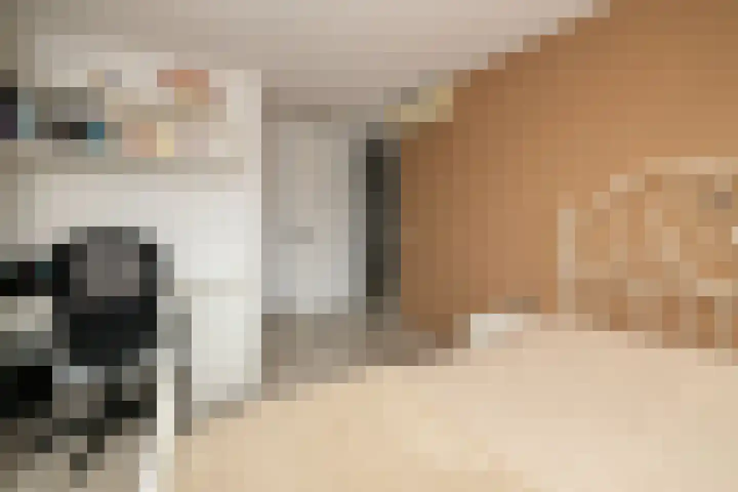 Menno ter Braakstraat 4 Den Haag thumbnail 29