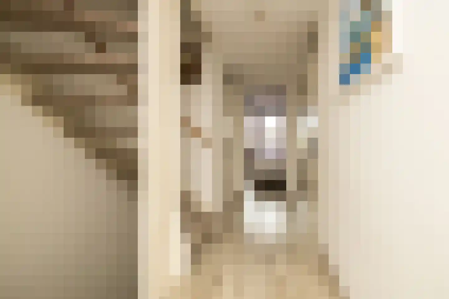 Menno ter Braakstraat 4 Den Haag thumbnail 33