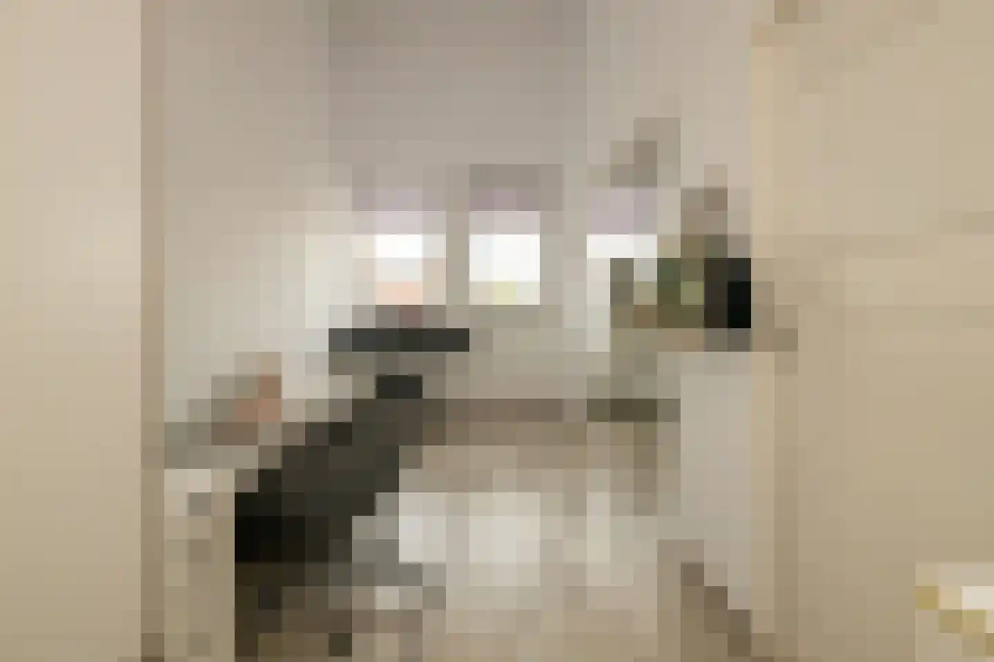 Menno ter Braakstraat 4 Den Haag thumbnail 37