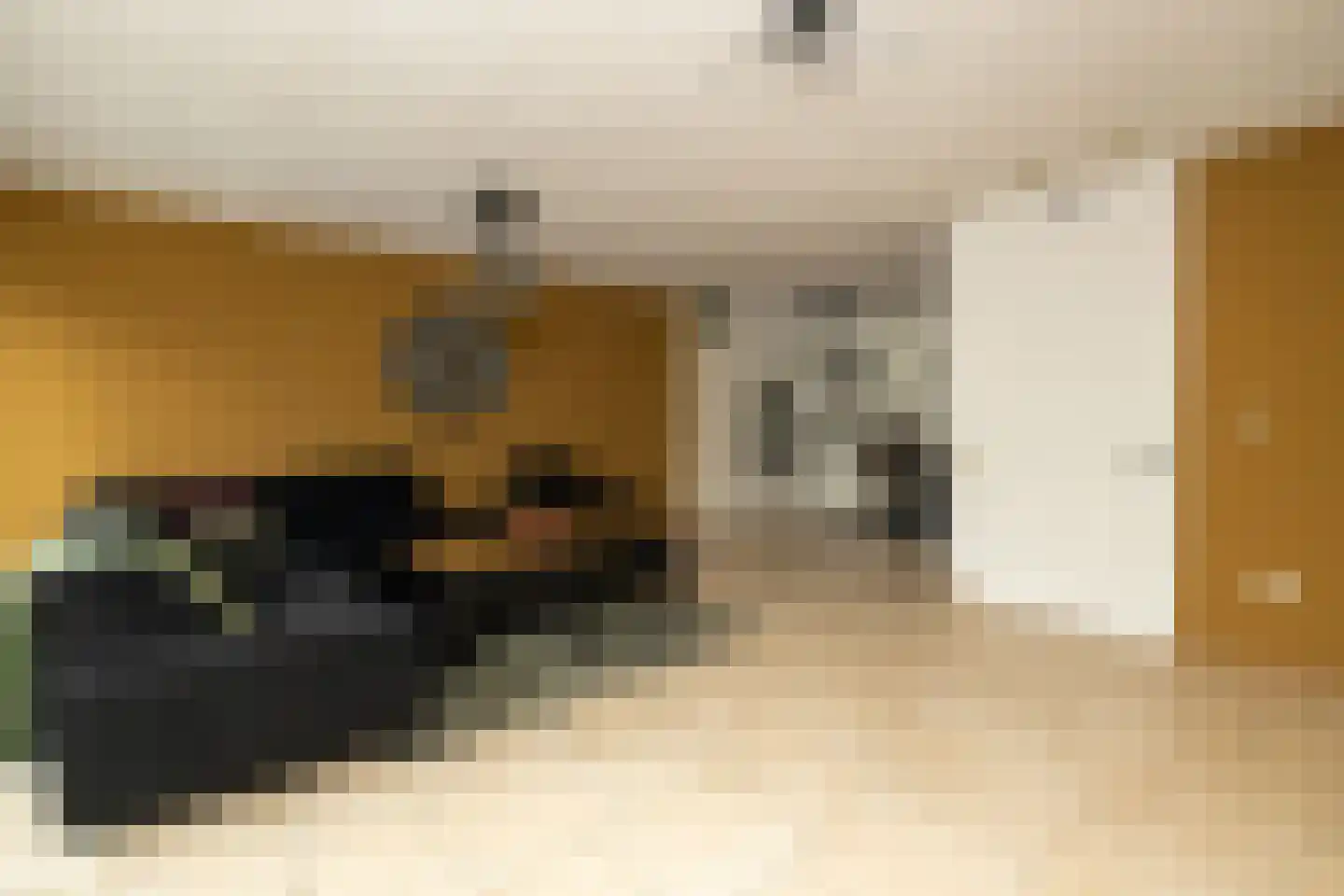 Menno ter Braakstraat 4 Den Haag thumbnail 9