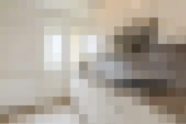 Menno ter Braakstraat 42 Papendrecht thumbnail 11