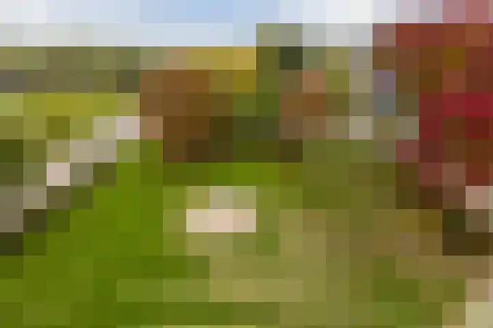 Menno ter Braakstraat 42 Papendrecht thumbnail 30
