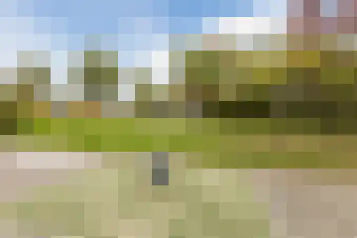 Menno ter Braakstraat 42 Papendrecht thumbnail 33