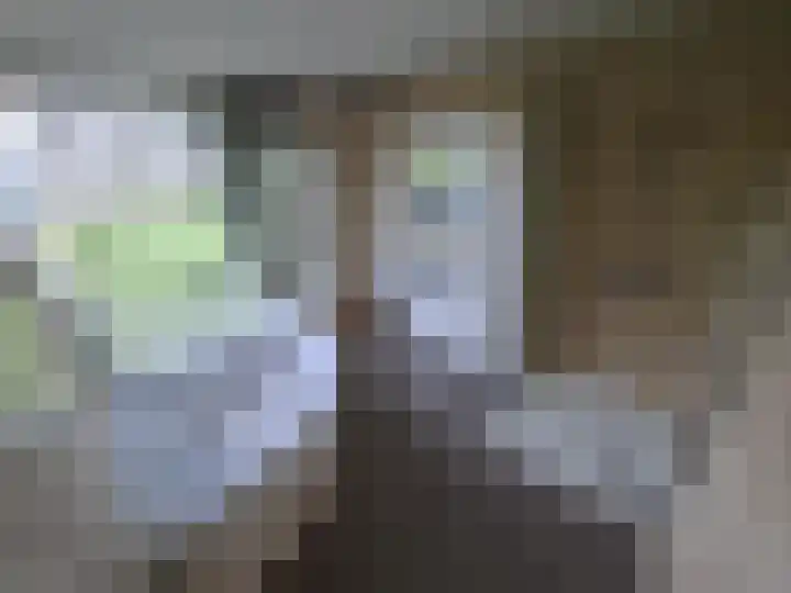 Menno ter Braakstraat 58 Rotterdam thumbnail 7