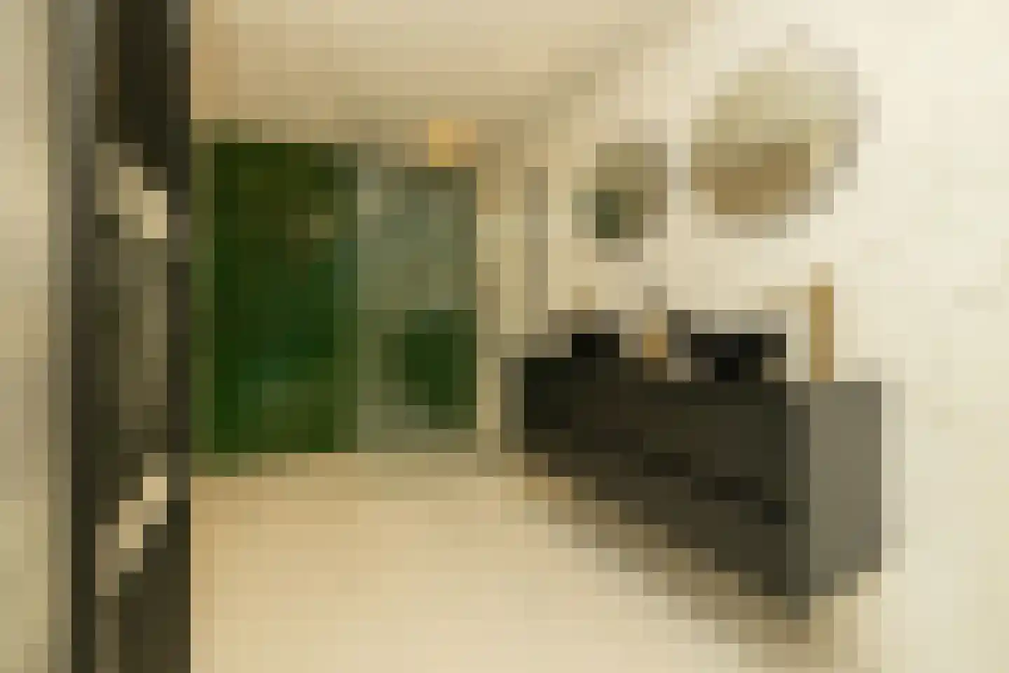 Menno ter Braakstraat 64 Den Haag thumbnail 23