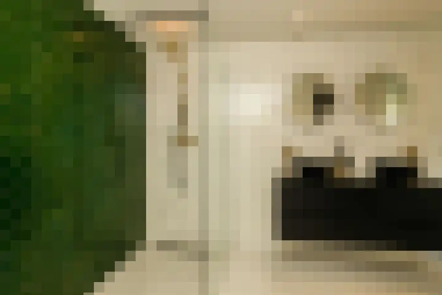 Menno ter Braakstraat 64 Den Haag thumbnail 26