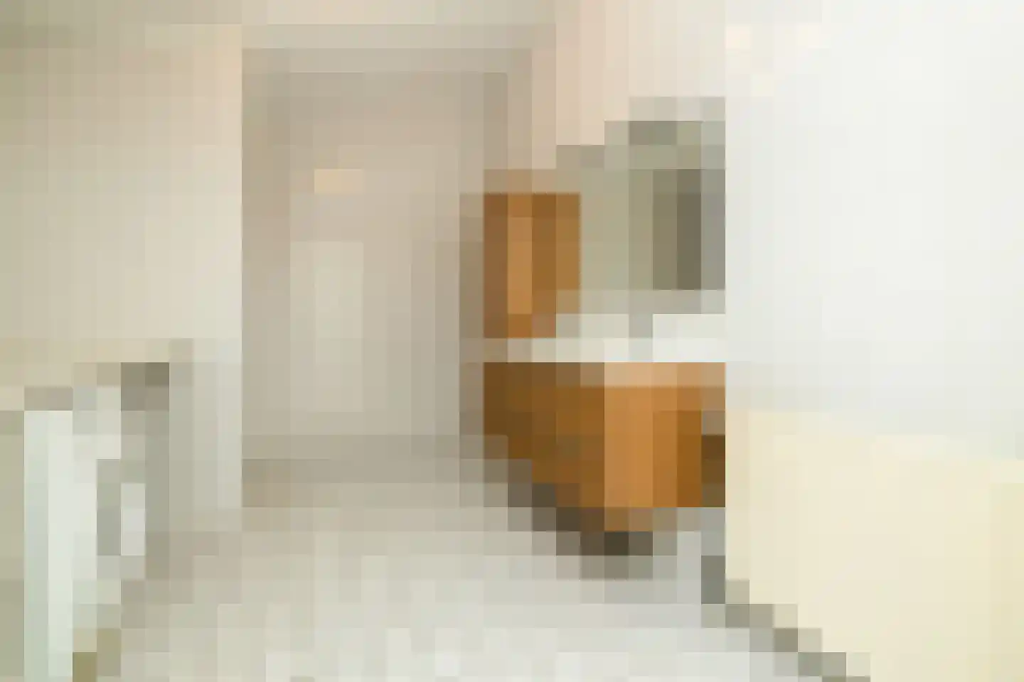 Menno ter Braakstraat 64 Den Haag thumbnail 37
