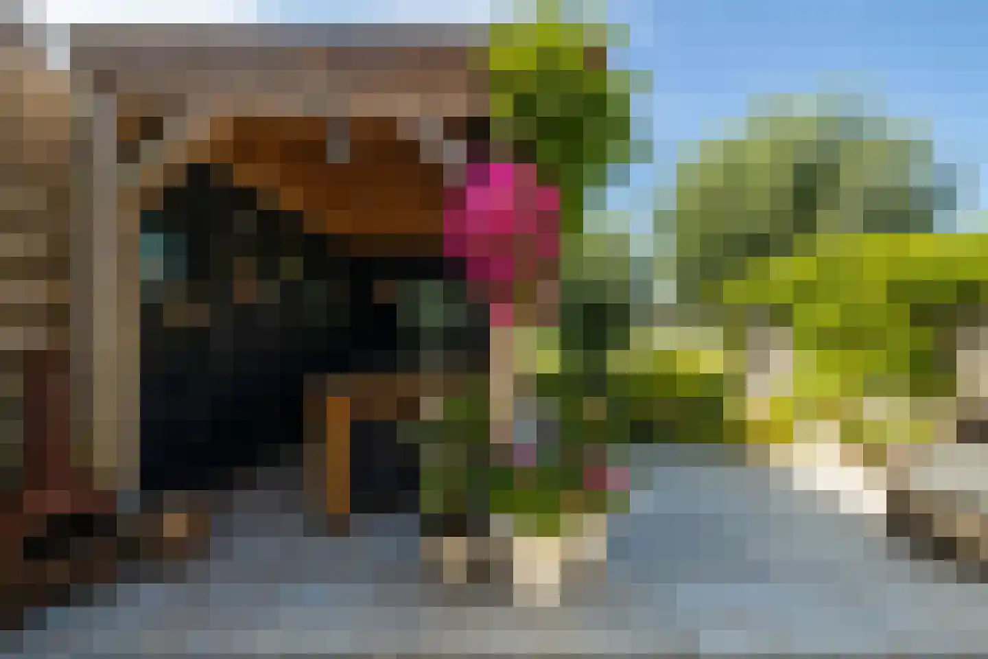 Menno ter Braakstraat 64 Den Haag thumbnail 43