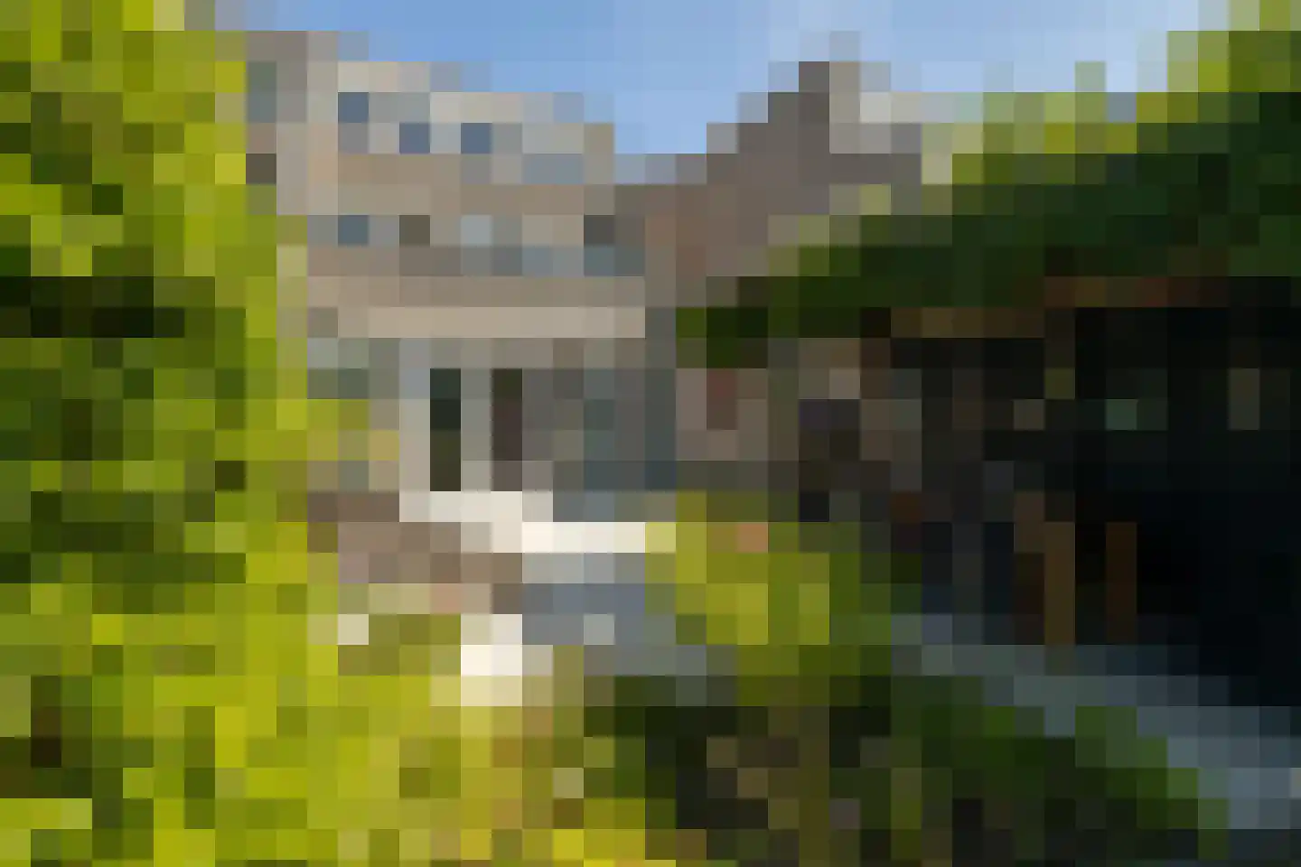 Menno ter Braakstraat 64 Den Haag thumbnail 48
