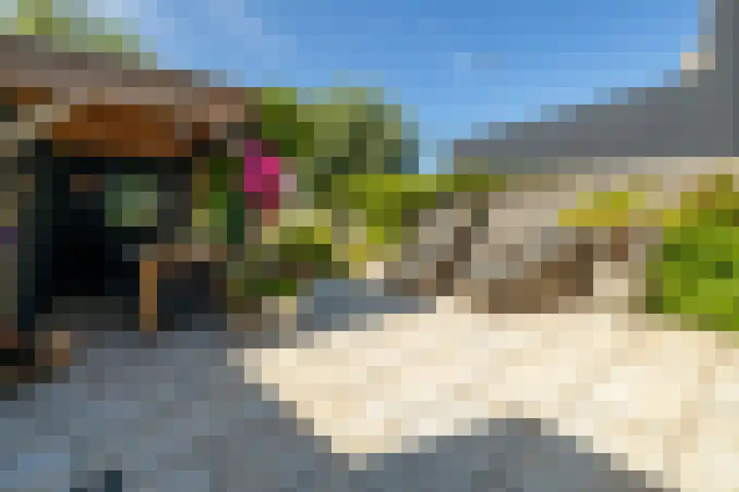 Menno ter Braakstraat 64 Den Haag thumbnail 5