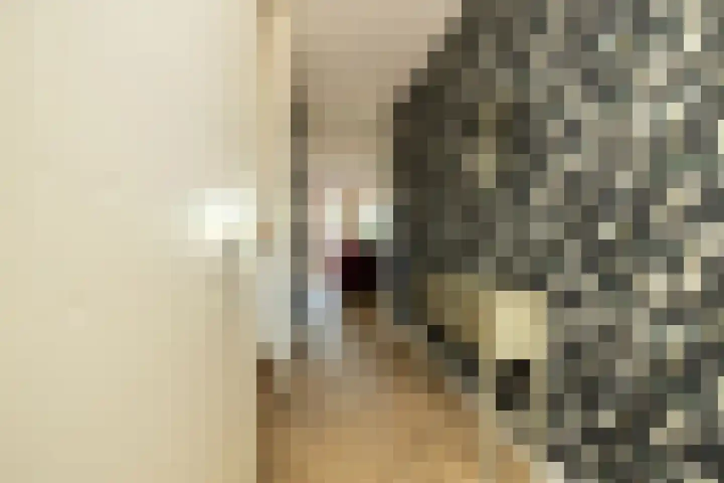 Menno ter Braakstraat 64 Den Haag thumbnail 8