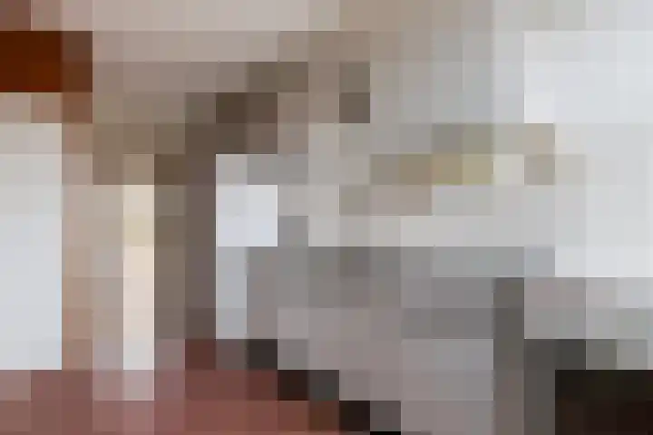 Menno ter Braakstraat 68 Papendrecht thumbnail 12