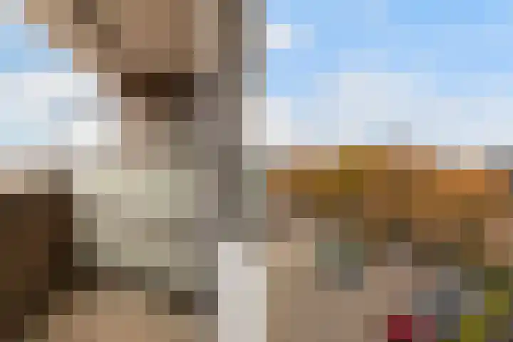 Menno ter Braakstraat 68 Papendrecht thumbnail 13