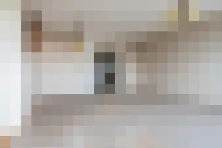Menno ter Braakstraat 68 Papendrecht thumbnail 6
