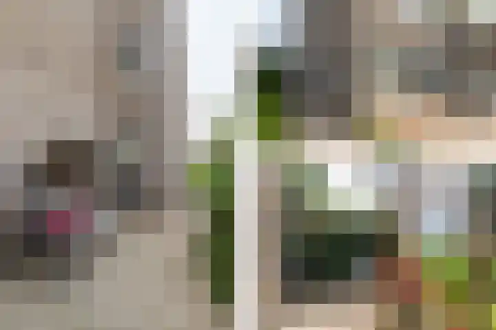 Menno ter Braakstraat 76 Den Haag thumbnail 20