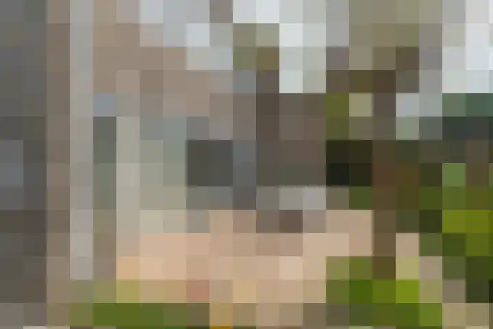 Menno ter Braakstraat 76 Den Haag thumbnail 4
