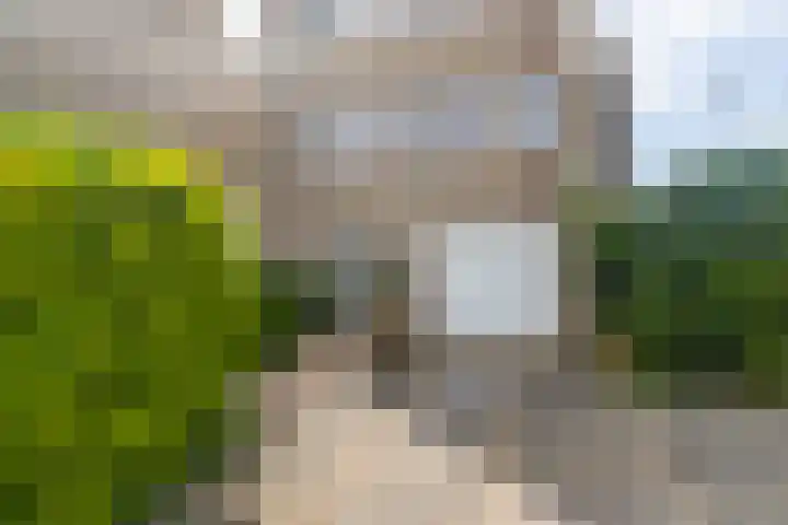 Menno ter Braakstraat 76 Den Haag thumbnail 5