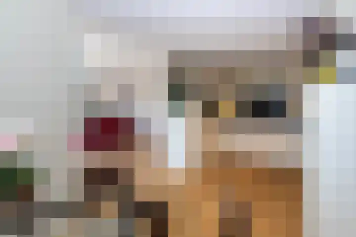 Menno ter Braakstraat 76 Den Haag thumbnail 7