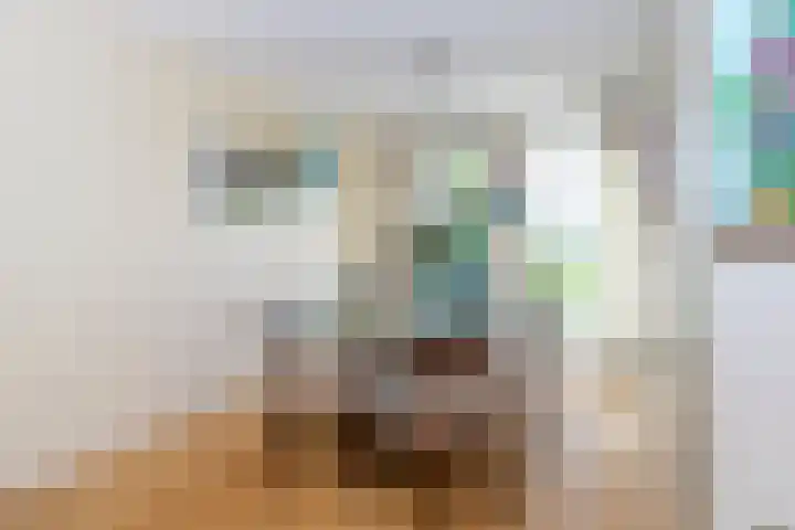 Menno ter Braakstraat 76 Den Haag thumbnail 9