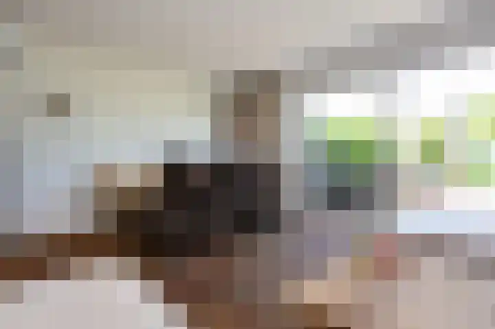 Menno ter Braakstraat 88 Den Haag thumbnail 10