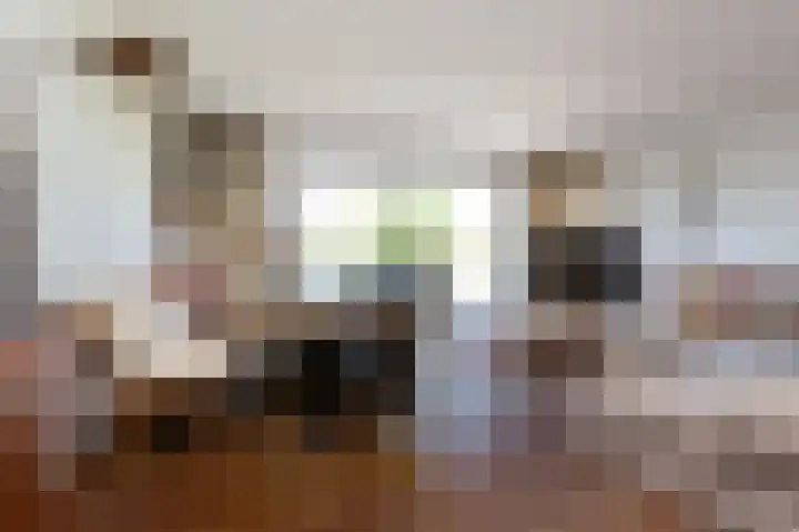 Menno ter Braakstraat 88 Den Haag thumbnail 5